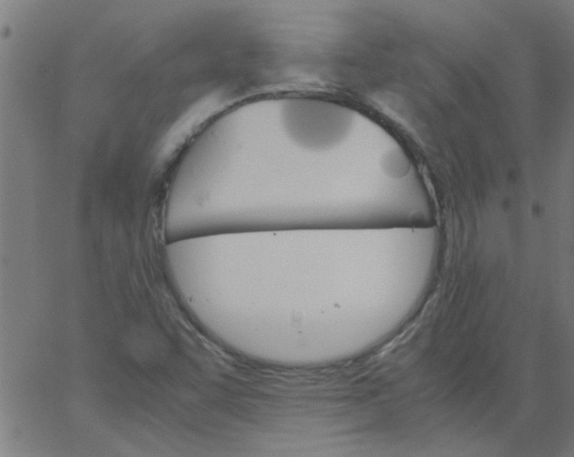 X0000066541455200603311833