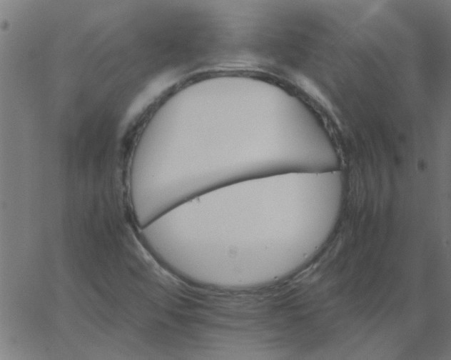 X0000066541456200603311833