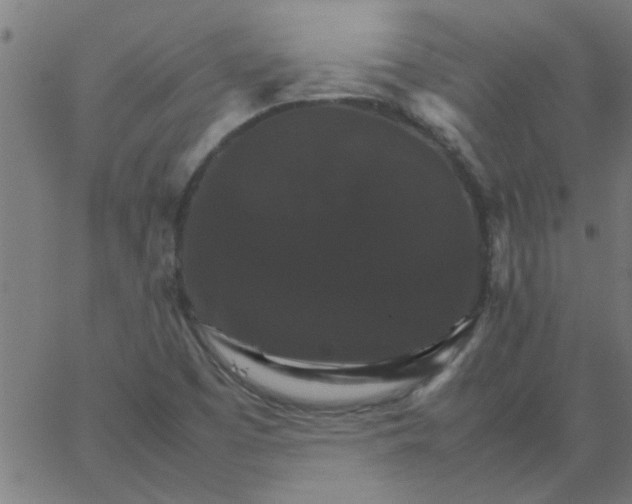 X0000066541457200603311833