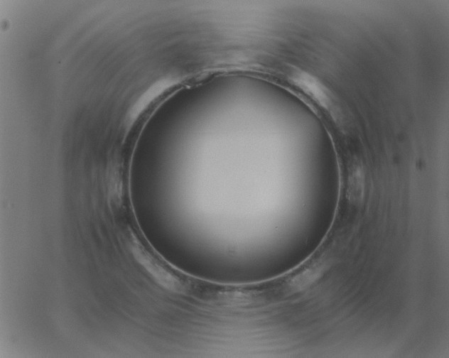 X0000066541458200603311833