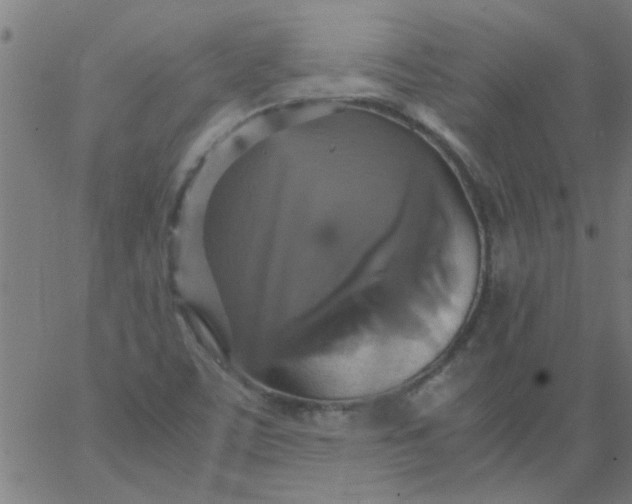 X0000066541459200603311833