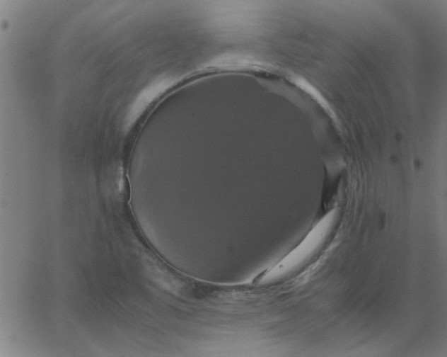 X0000066541461200603311833