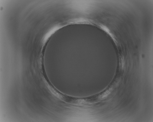 X0000066541463200603311833