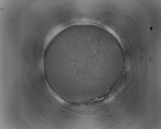 X0000066541464200603311833