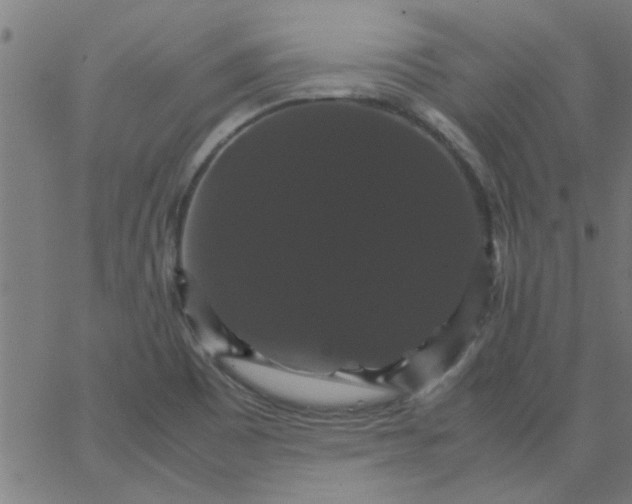 X0000066541465200603311833