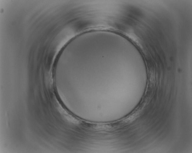 X0000066541466200603311833