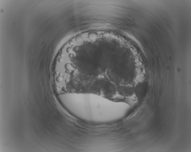 X0000066541467200603311833