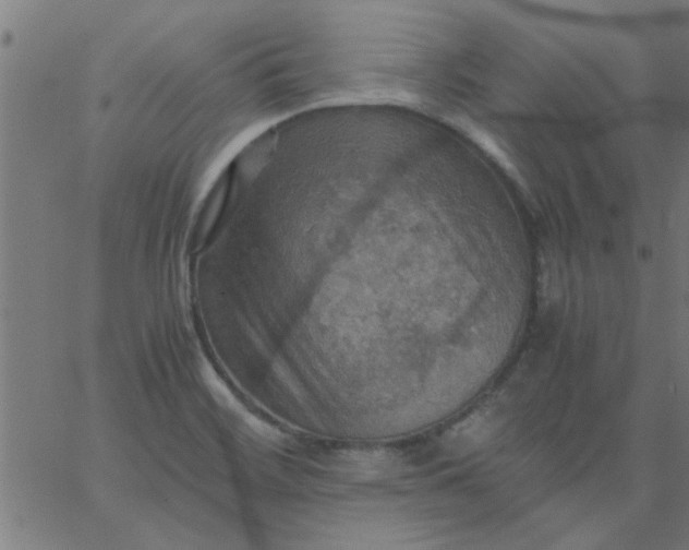 X0000066541468200603311833