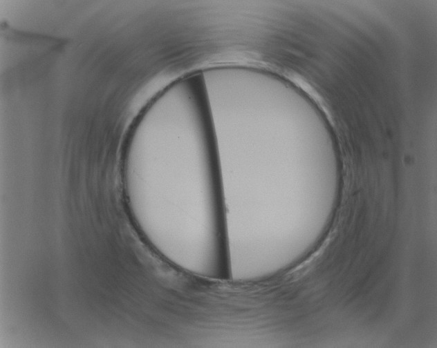 X0000066541469200603311833