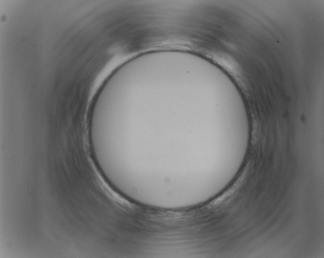 X0000066541470200603311833