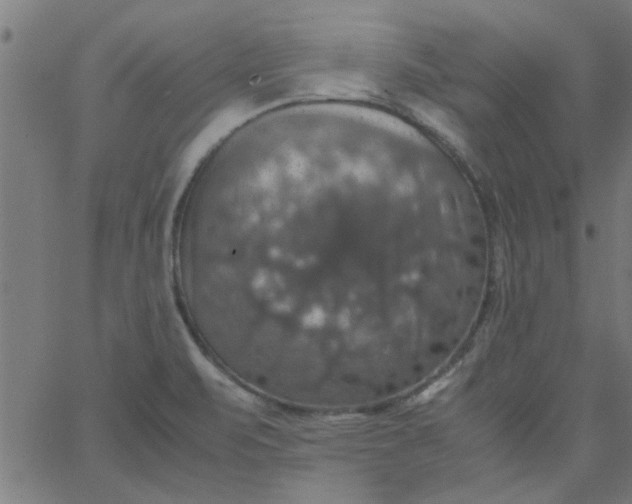 X0000066541471200603311833