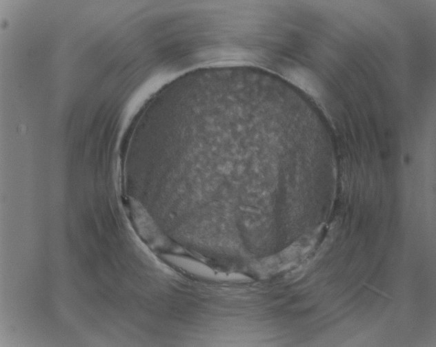 X0000066541472200603311833