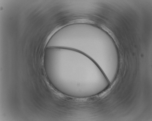 X0000066541473200603311833