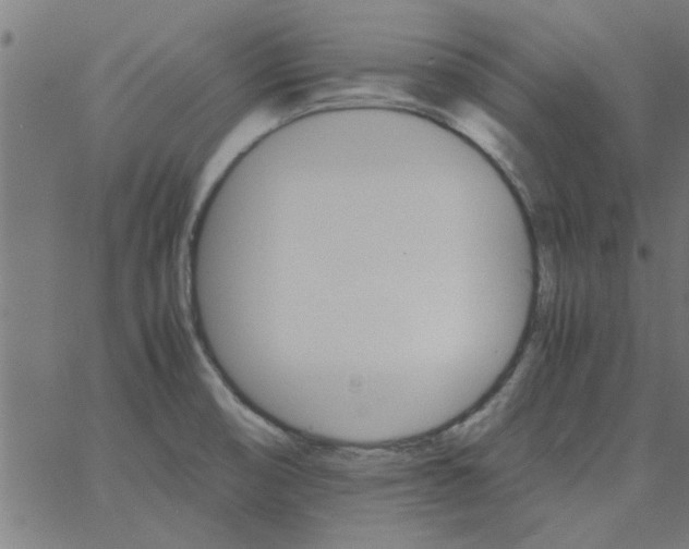 X0000066541474200603311833