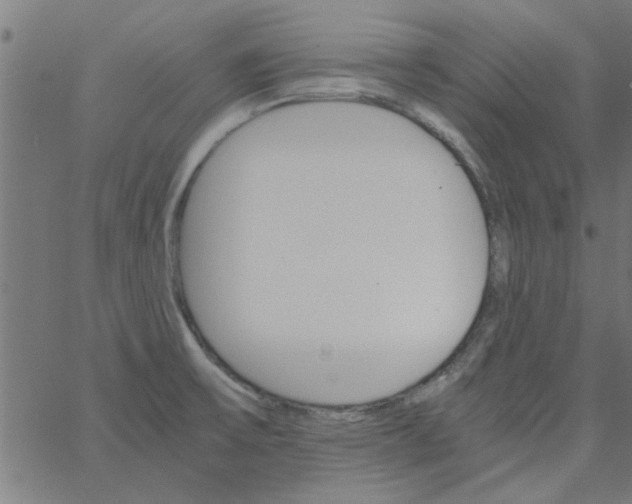 X0000066541475200603311833