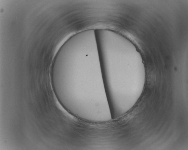 X0000066541476200603311833