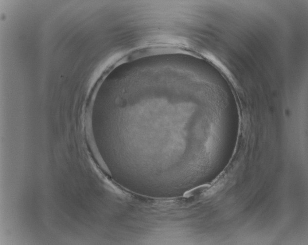 X0000066541477200603311833