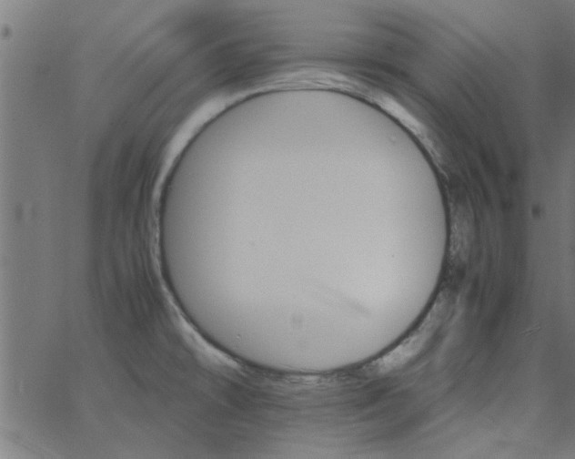 X0000066541478200603311833