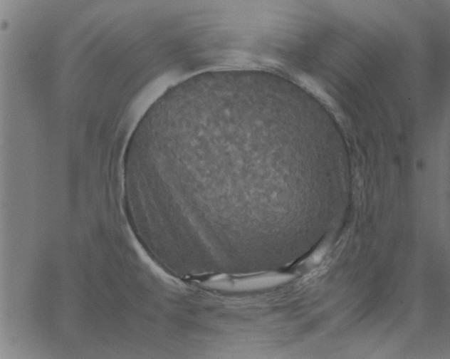 X0000066541479200603311832