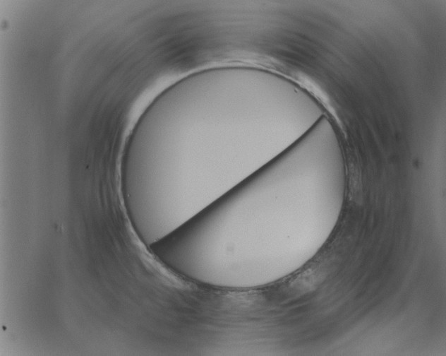 X0000066541480200603311832