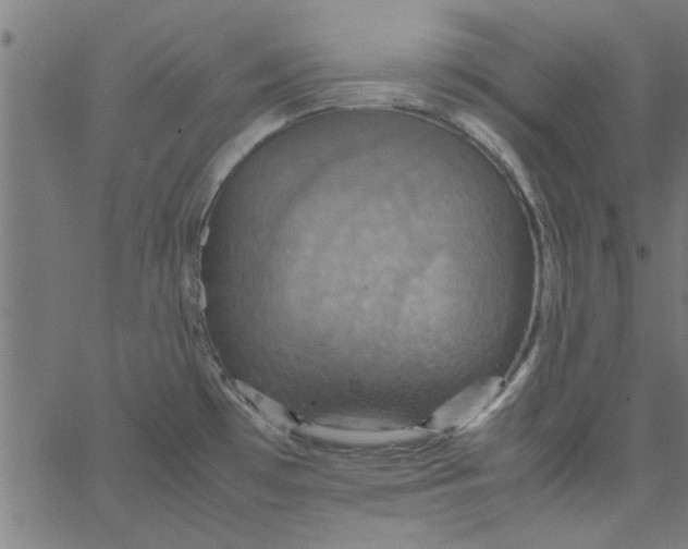 X0000066541481200603311832