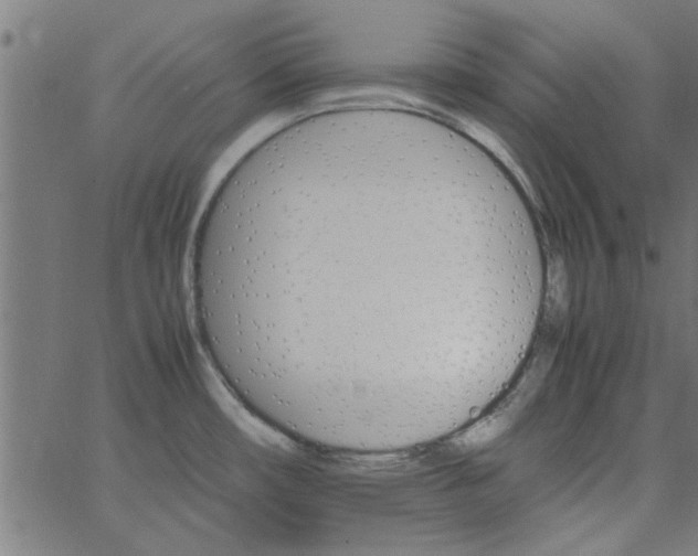 X0000066541482200603311832