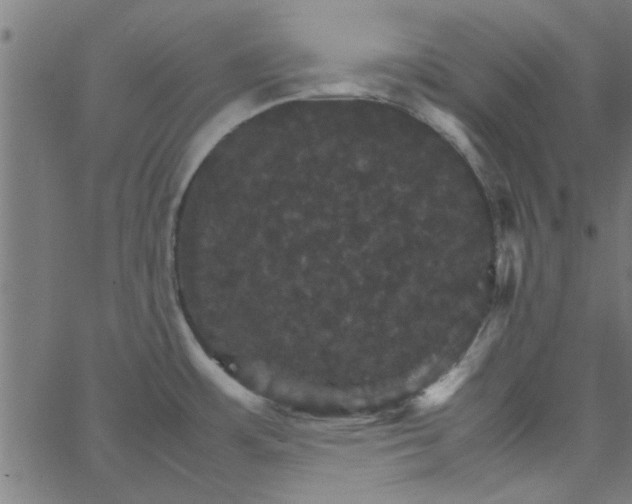 X0000066541483200603311832