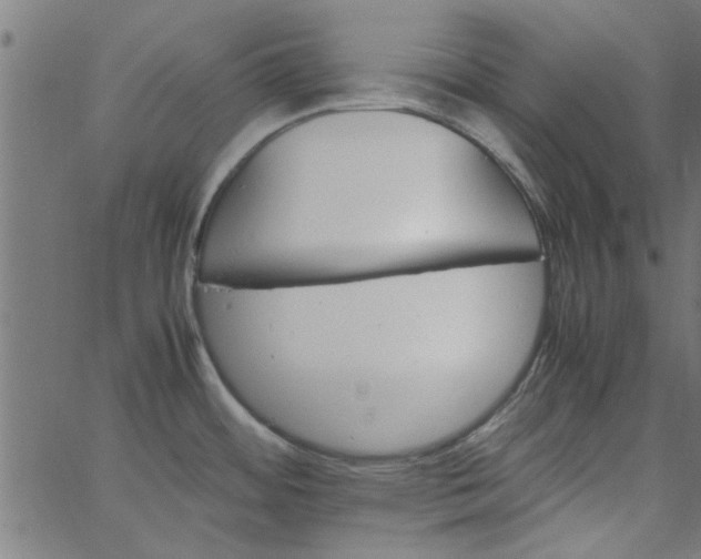 X0000066541484200603311832