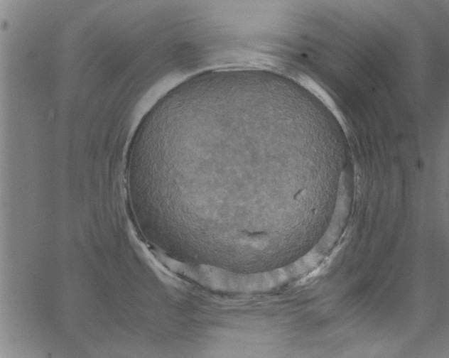 X0000066541485200603311832