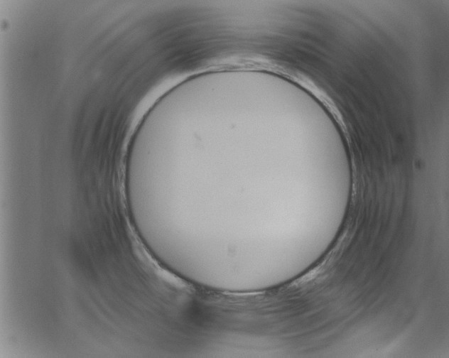 X0000066541486200603311832