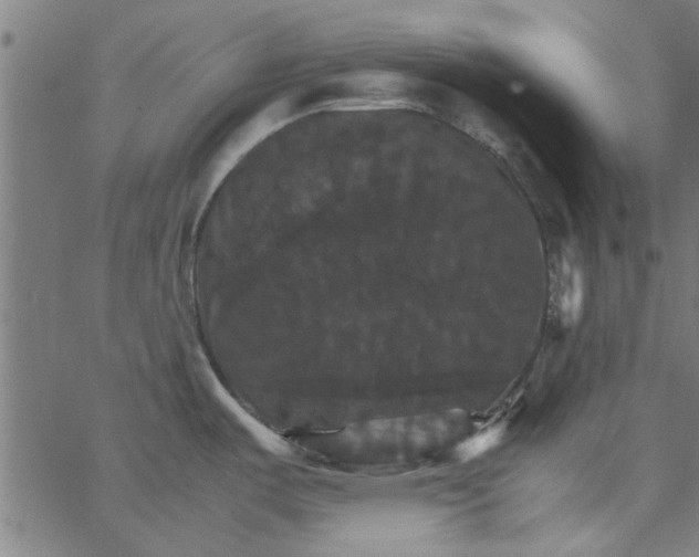 X0000066541487200603311832