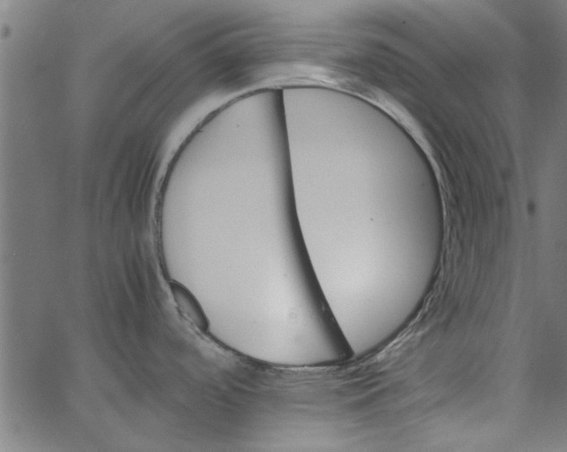 X0000066541488200603311832