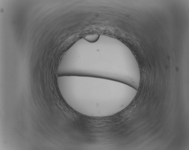 X0000066541489200603311832