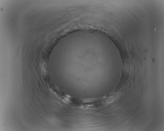 X0000066541490200603311832