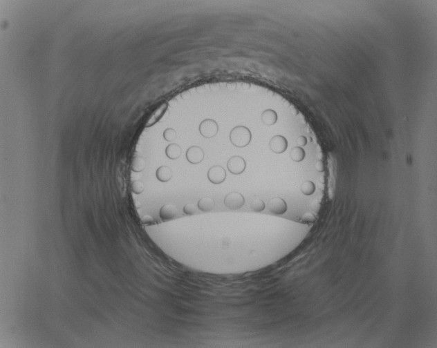 X0000066541491200603311832