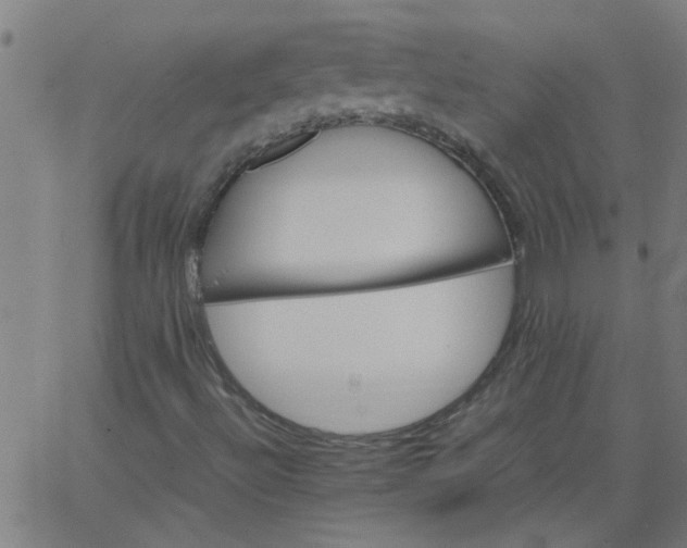 X0000066541492200603311832