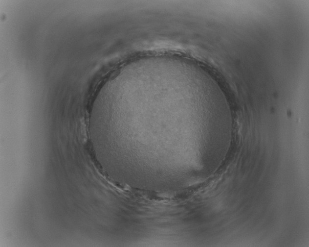 X0000066541493200603311832