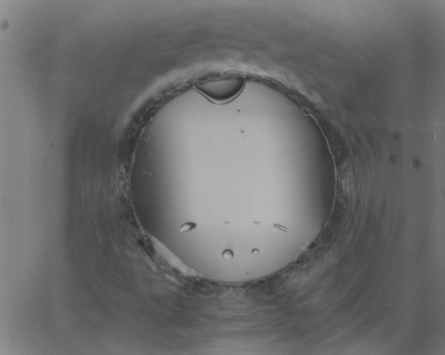 X0000066541495200603311832