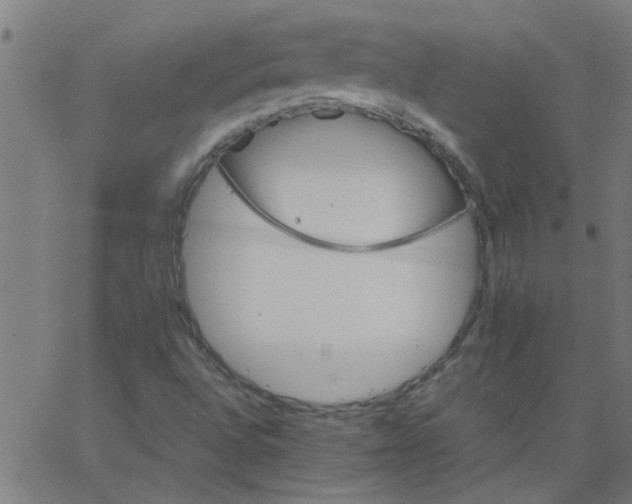 X0000066541496200603311832