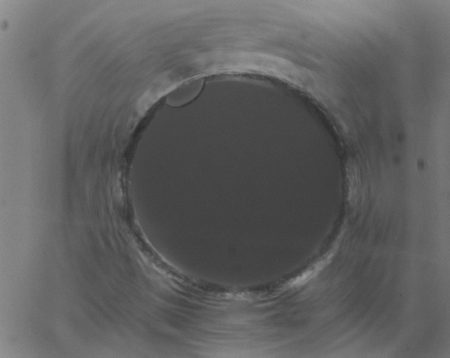 X0000066541497200603311832