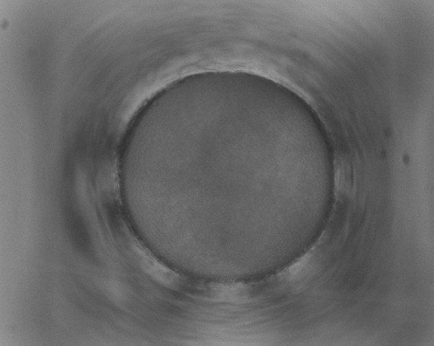 X0000066541498200603311832