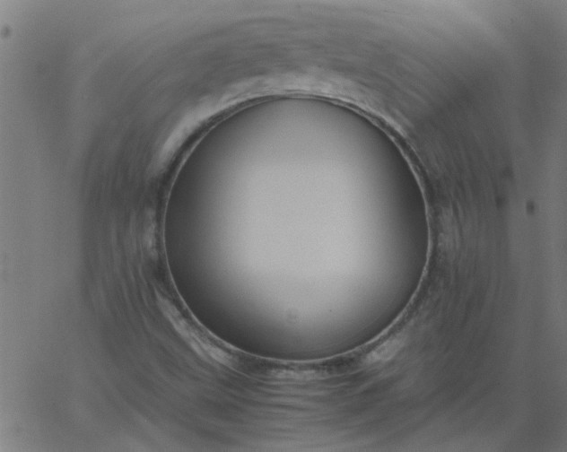 X0000066541499200603311832