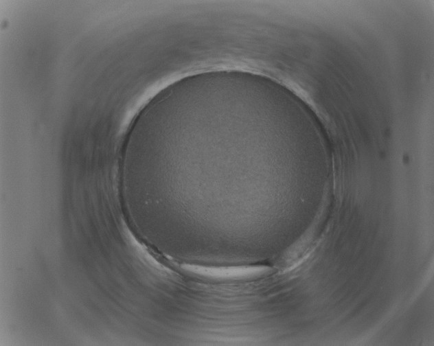 X0000066541500200603311832