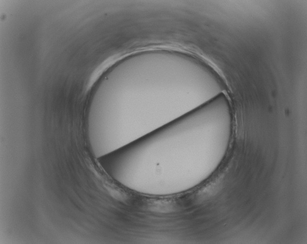 X0000066541501200603311832