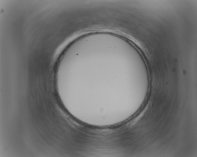 X0000066541502200603311832