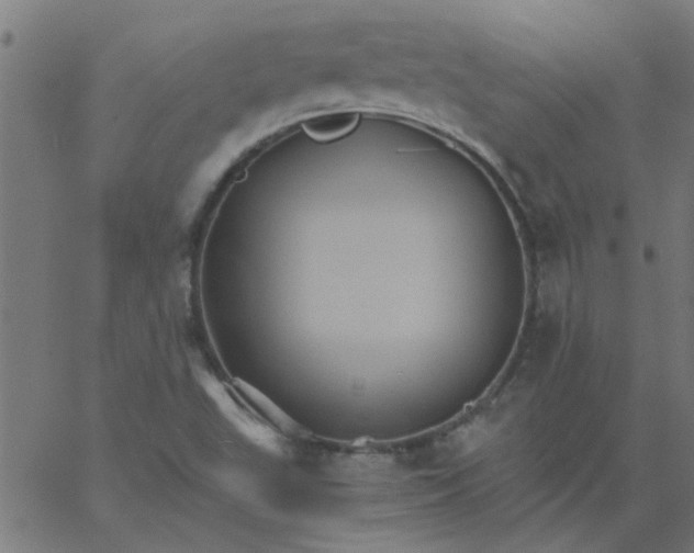 X0000066541503200603311832