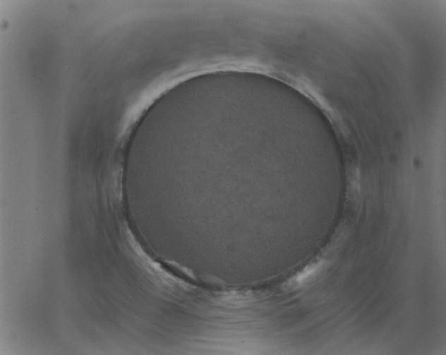 X0000066541504200603311832