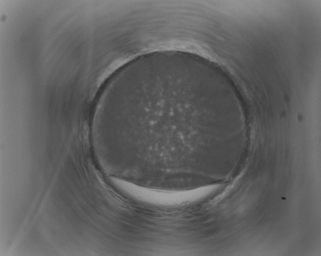 X0000066541505200603311832