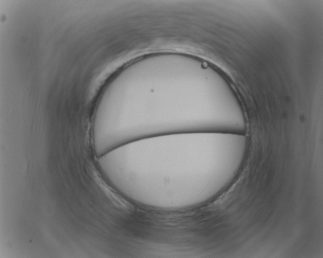 X0000066541507200603311832