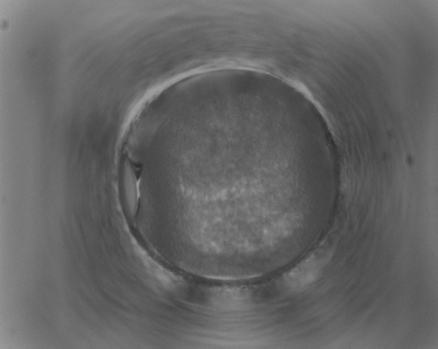 X0000066541508200603311832